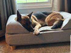 Bester platz im haus