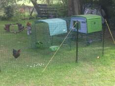 Ein großer grüner hühnerstall mit einem auslauf, der mit einer abdeckung hinter einem hühnergehege versehen ist