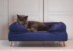 Minnie's neues polsterbett
