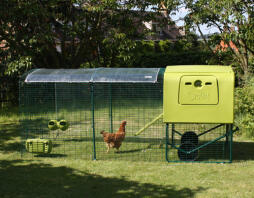Grün Eglu Cube hühnerstall mit auslauf und durchsichtiger abdeckung mit einem huhn im auslauf