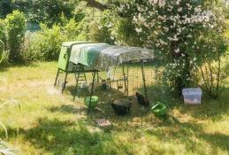 Eglu Cube bei Farming Girls