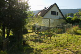 Hühnergehege mit zusätzlichem maschendraht oben in einem garten, mit einem haus im hintergrund