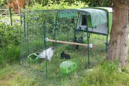 Omlet grün Eglu Cube großer hühnerstall und auslauf