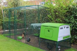 Ein großer grüner Eglu Cube hühnerstall mit einem begehbaren auslauf und hühnern darin