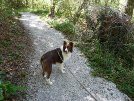 Rocky liebt es zu wandern!