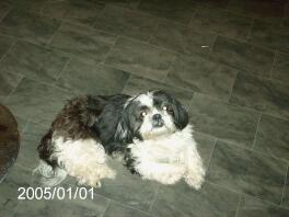 Ich bin Dougal