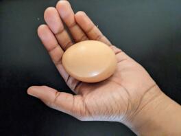 Reife rhode island red's egg.