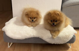 Tolles Bett 