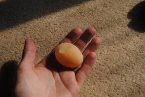 Eines der ersten Eier meiner Hühner.