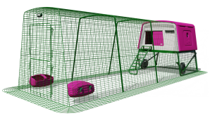 Eglu Cube Hühnerstall mit Auslauf (4 m) und Rädern - Lila