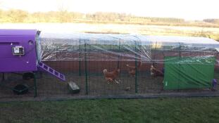 Viel platz 