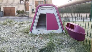 Ein rosafarbener hühnerstall und ein futterhäuschen in einem gefrorenen, winterlichen garten