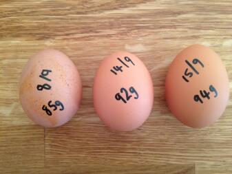Eines meiner Hühner legt riesige Eier!