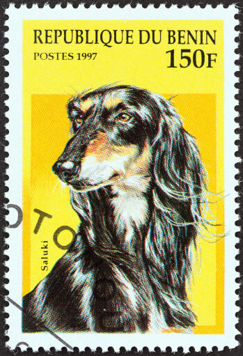 Ein afghanischer hund auf einer westafrikanischen briefmarke