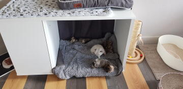 Katze liegt in Omlet Maya Nook