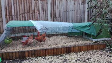Eglu Go mit 3-meter-lauf