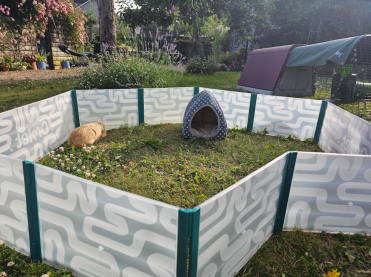 Eine tolle ergänzung für den garten, in dem mein meerschweinchen spielen kann!