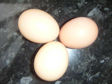Mein erster tag mit 3 großen eiern, hurra!