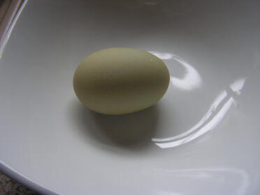 Das erste grüne Bonny-Ei überhaupt.