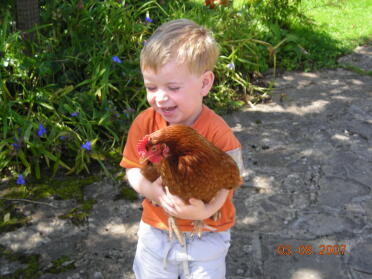 Teddy hält zum ersten Mal seine Henne Rosiepop.