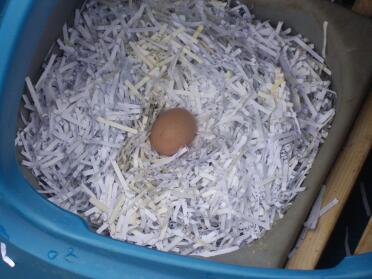 Erstes Ei - Bestes Osterei aller Zeiten!