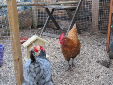 Betty und charlotte haben spaß!
