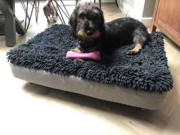 Thanos liebt sein bett 