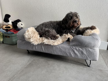 Oma luna ist glücklich💜