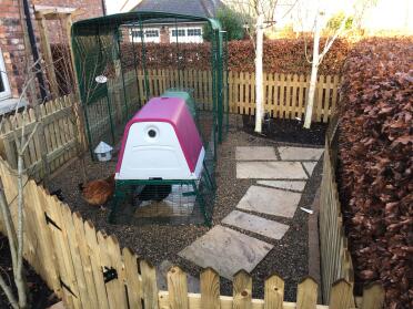 Eglu oben in hillsborough