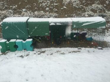 4-meter-gehege im schnee mit winterplane