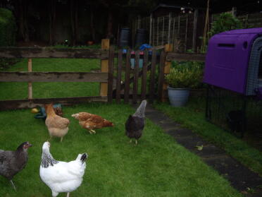 Die Mädchen erkunden den Garten vollständig und picken die Gießkanne!