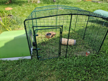Installation für meine meerschweinchen 