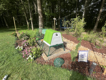 Kleine gartenküken 