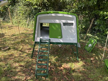 Glu Cube 