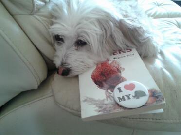 Molly, der Hund, der das Schriftcover des Hühnerbuchs bewundert