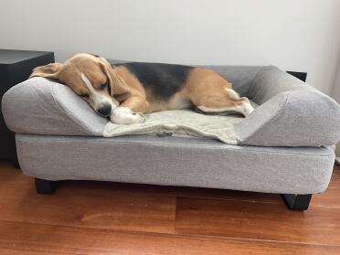 Mia genießt ihr Luxe bett in vollen zügen!