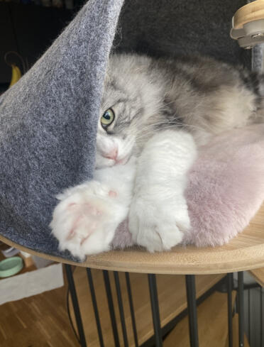 Ich verstecke mich gerne ….
