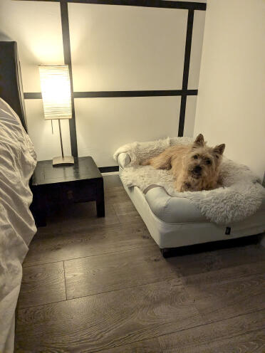 Glücklich mit seinem bett.