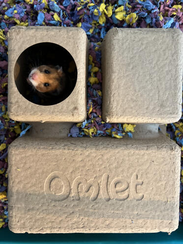 Unser hamster liebt es, in seinem kammerversteck zu sein!