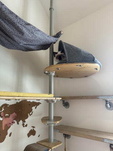 Verstecken!