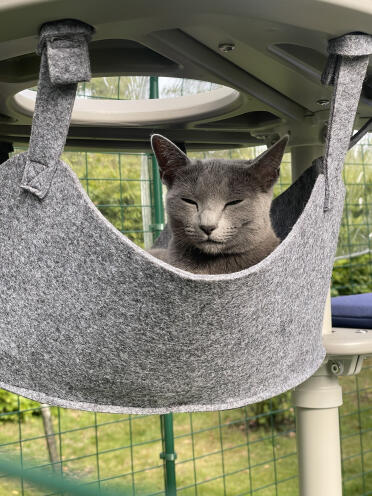 Hängematte chill ripley
