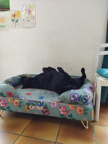 Sehr schöner und prächtiger bezug gardenia sage für bolsterkorb hund
