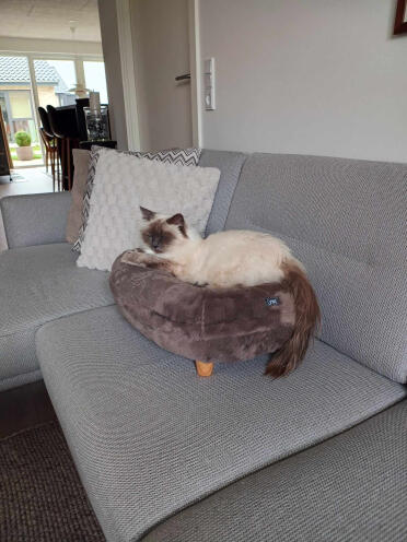 Nora hat einen neuen lieblingsspot....