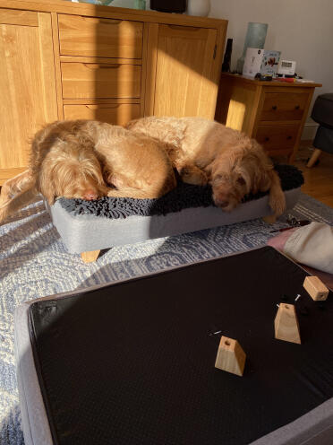 Peggy konnte es kaum erwarten, dass ihr bett gebaut wurde!