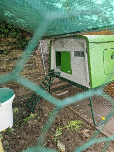 Große Eglu Cube