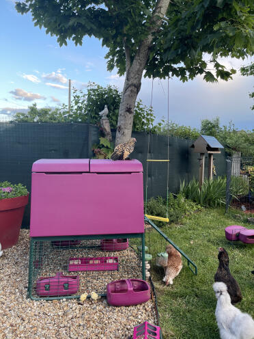 Unsere kleine girly-ecke