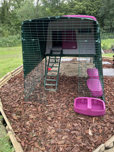 Cube top eglo + 2m lauf + automatisch outdoor👌🏻. von wendy