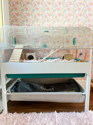 Wir lieben unser neues Omlet hamsterhabitat sehr! 