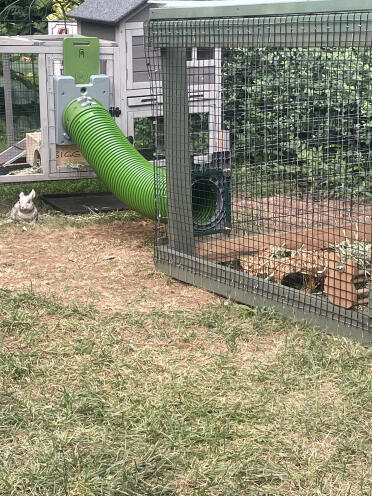 Meine kaninchen lieben es.