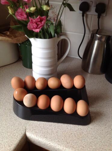 Eierrampe für 12 eier